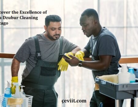 Discover the Excellence of Aida Dzubur Cleaning Chicago