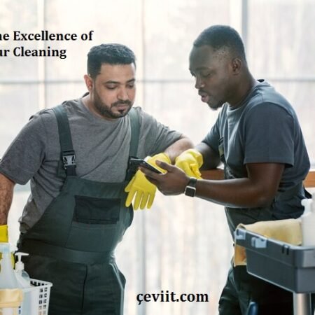 Discover the Excellence of Aida Dzubur Cleaning Chicago