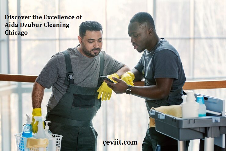 Discover the Excellence of Aida Dzubur Cleaning Chicago