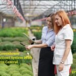 Picas Greenhouse Productions System With Business Central