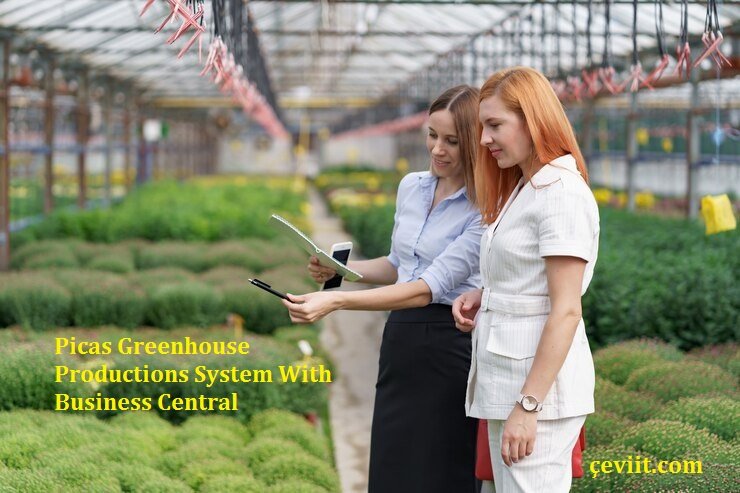 Picas Greenhouse Productions System With Business Central