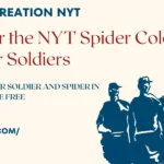 spiders-creation-nyt