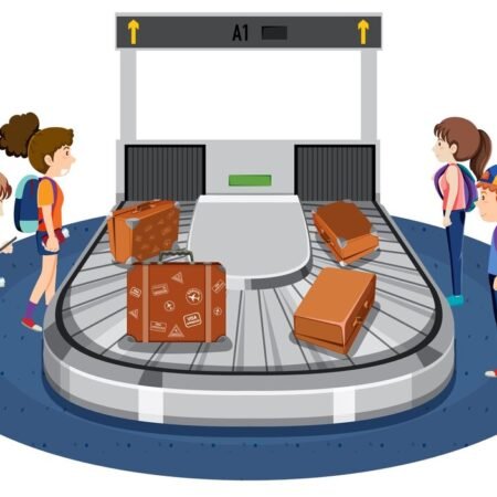 Efficient Solutions for Airport Luggage Storage