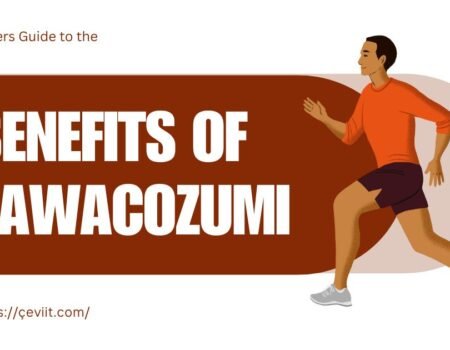 Beginners Guide to the Benefits of Tawacozumi