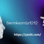 Bermkezmis1212 Explained: 2025’s Hottest Digital Disruptor