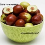 Žižole Superfruit: Hidden Health Benefits Uncovered