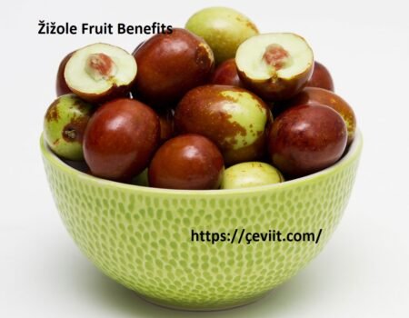 Žižole Superfruit: Hidden Health Benefits Uncovered