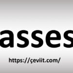 Cassasse Unveiled Meaning, Origins & Creative Power