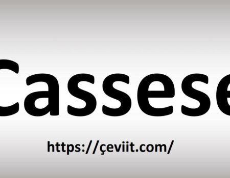 Cassasse Unveiled Meaning, Origins & Creative Power