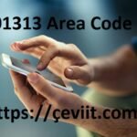 The 01313 Area Code Explained