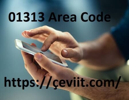 The 01313 Area Code Explained