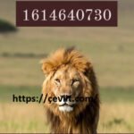 Understanding 1614640730