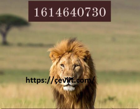 Understanding 1614640730